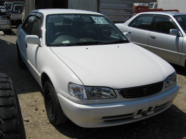 1999 Toyota Corolla