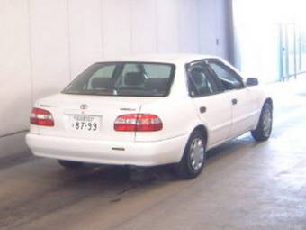 Corolla