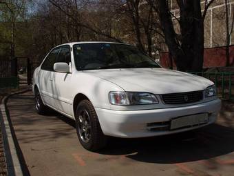 1999 Toyota Corolla
