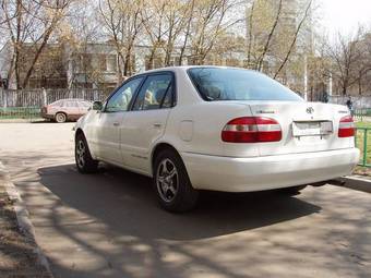 Corolla