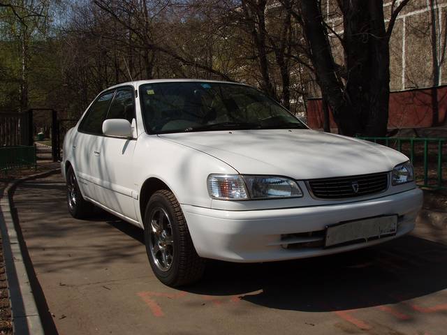 1999 Toyota Corolla
