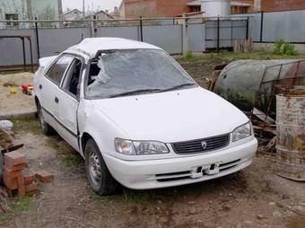 1999 Toyota Corolla