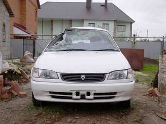 Corolla