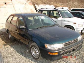 Corolla