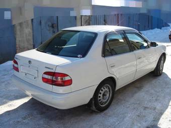 Corolla