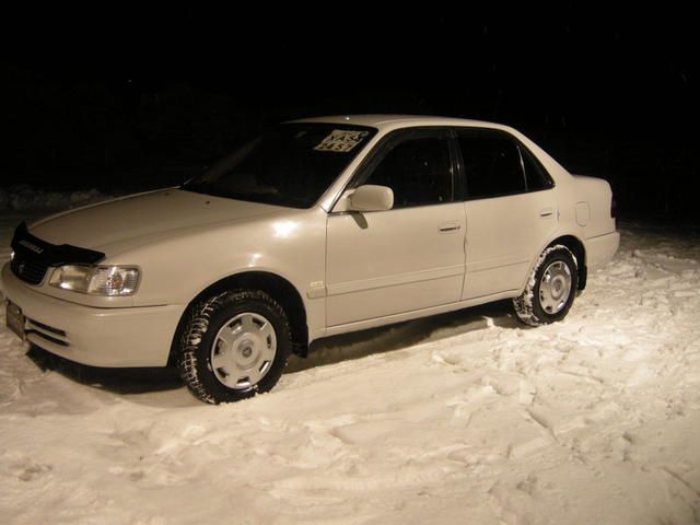 1999 Toyota Corolla