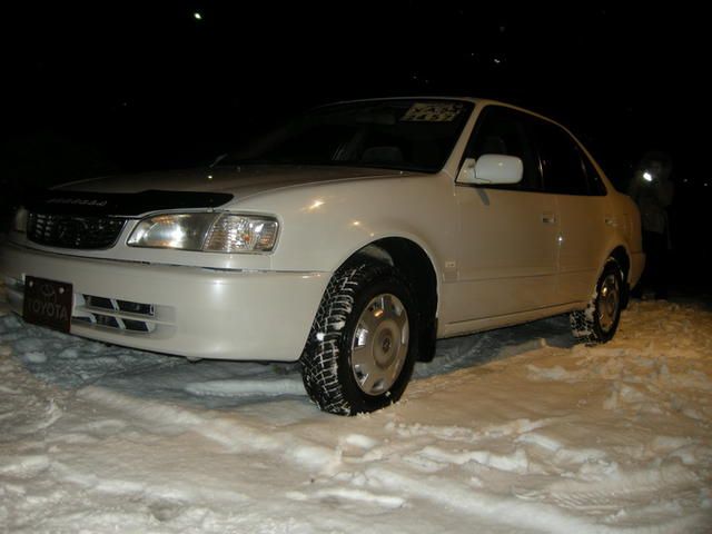 1999 Toyota Corolla