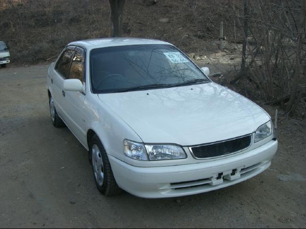 1999 Toyota Corolla