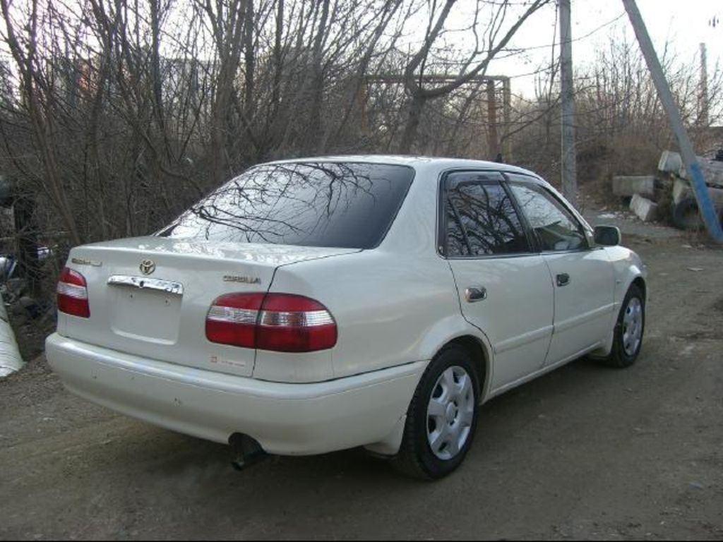 1999 Toyota Corolla