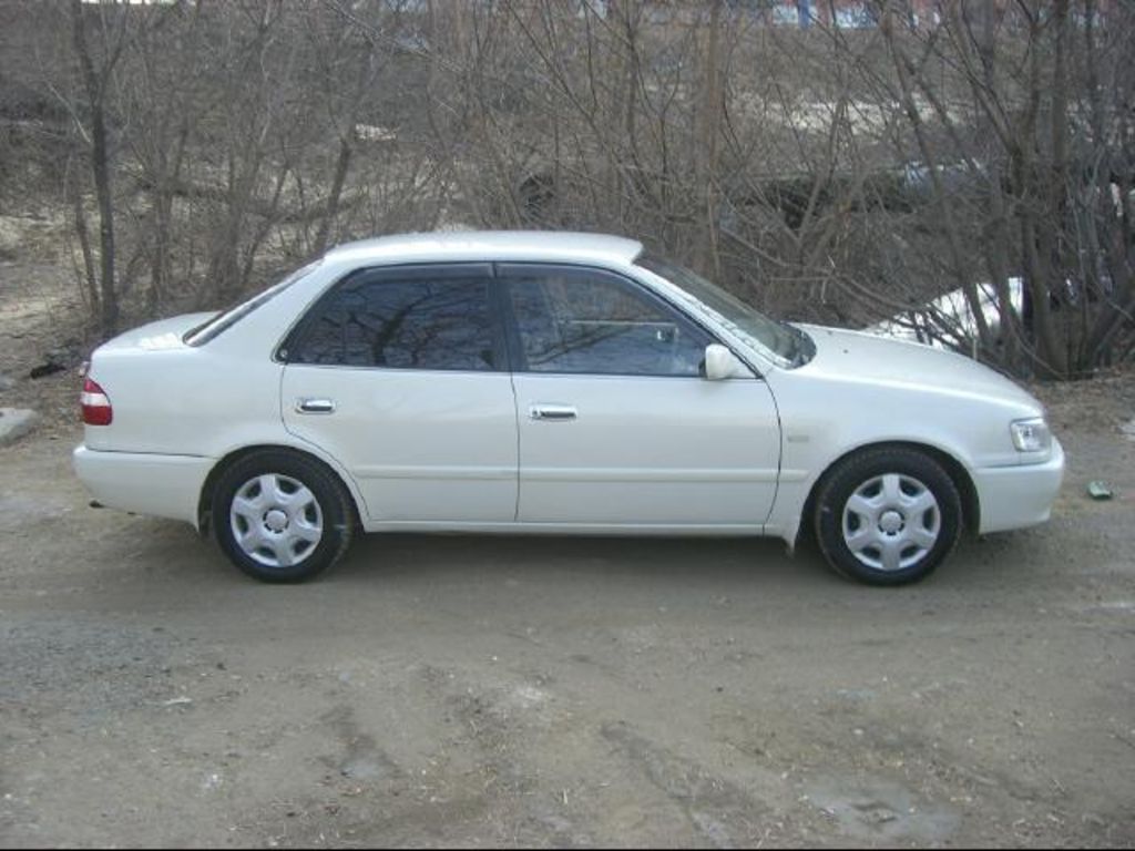 1999 Toyota Corolla