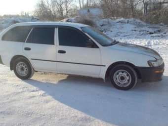 Corolla