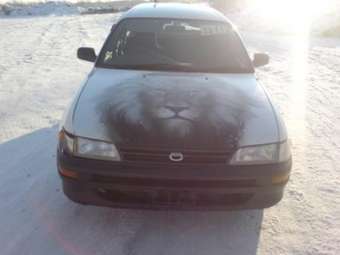 1999 Corolla