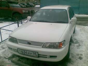 Corolla