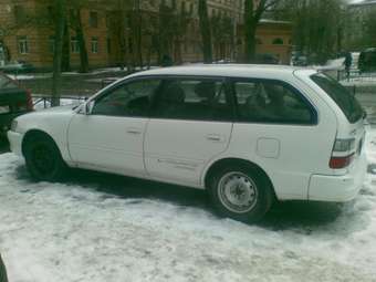 1999 Corolla