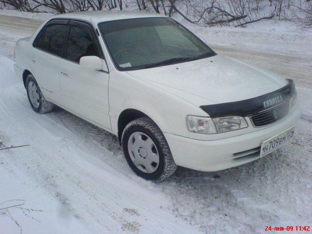 1999 Toyota Corolla