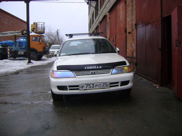 1999 Toyota Corolla