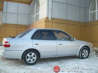 Corolla