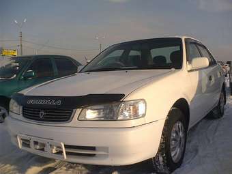1999 Toyota Corolla