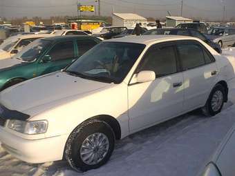 1999 Corolla