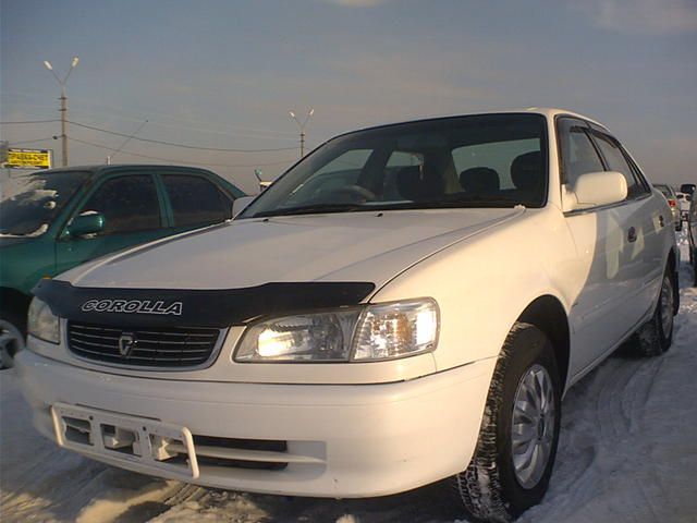 1999 Toyota Corolla