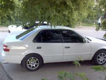 1999 Toyota Corolla