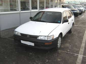 Corolla