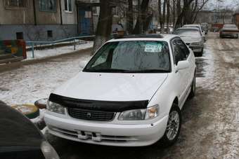 1999 Corolla