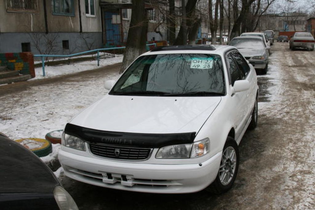 1999 Toyota Corolla