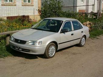 1999 Toyota Corolla