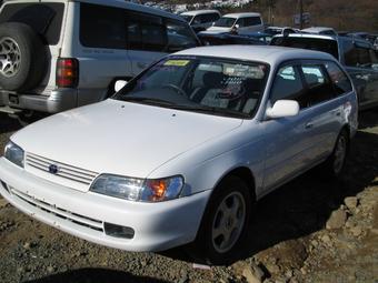 1999 Toyota Corolla