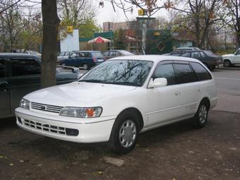 1999 Toyota Corolla