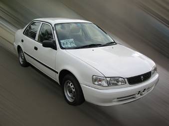 1999 Corolla