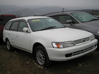 1999 Toyota Corolla