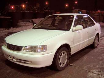 1999 Toyota Corolla