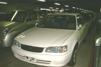 1999 Toyota Corolla