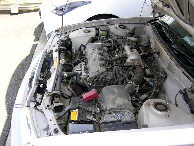 1999 Toyota Corolla Pictures