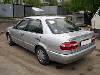 1999 Toyota Corolla Pictures