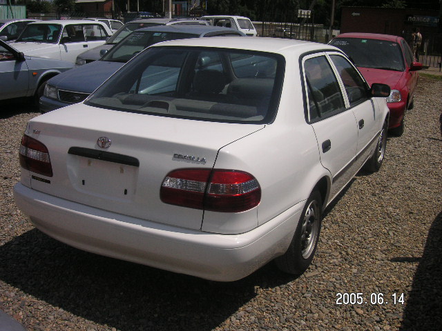 1999 Toyota Corolla For Sale