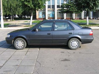 1999 Toyota Corolla Photos