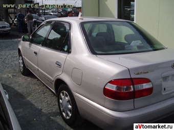 1999 Toyota Corolla Pictures