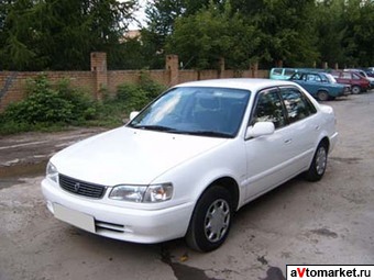 1999 Toyota Corolla For Sale
