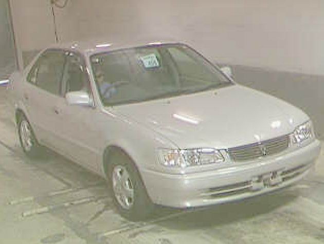 1999 Toyota Corolla Images