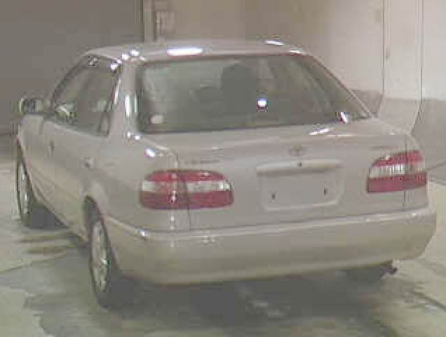 1999 Toyota Corolla Pictures