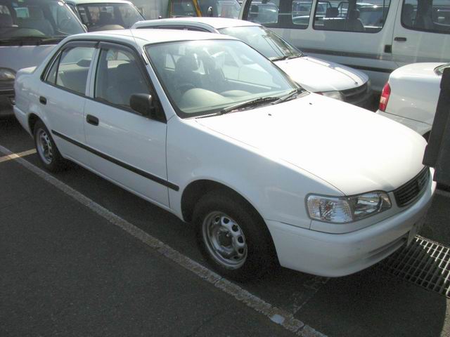 1999 Toyota Corolla Pictures