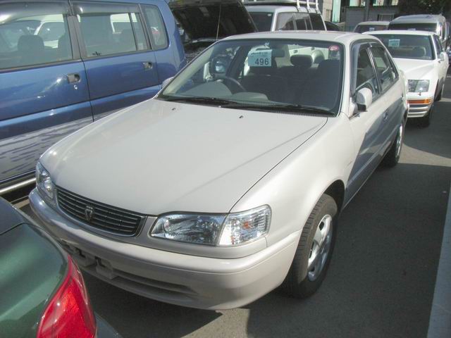 1999 Toyota Corolla Pics