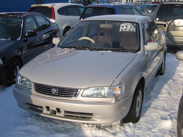 1999 Toyota Corolla Pictures