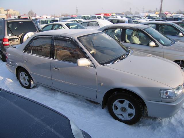 1999 Toyota Corolla Photos