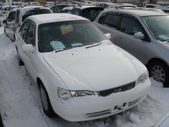 1999 Toyota Corolla