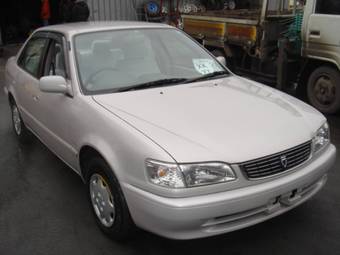1999 Toyota Corolla Pictures