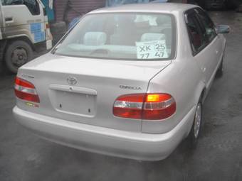 1999 Toyota Corolla For Sale